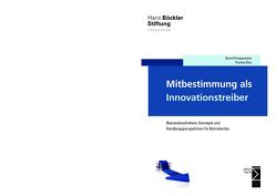 Mitbestimmung als Innovationstreiber von Kley,  Thomas, Kriegesmann,  Bernd, Kublik,  Sebastian