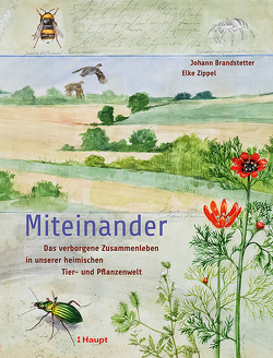 Miteinander von Brandstetter,  Johann, Zippel,  Elke