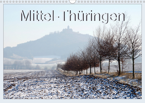 Mittel-Thüringen (Wandkalender 2021 DIN A3 quer) von Flori0