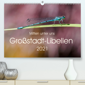 Mitten unter uns – Großstadt-Libellen (Premium, hochwertiger DIN A2 Wandkalender 2021, Kunstdruck in Hochglanz) von Wibke Hildebrandt,  Anne