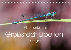 Mitten unter uns – Großstadt-Libellen (Tischkalender 2022 DIN A5 quer) von Wibke Hildebrandt,  Anne
