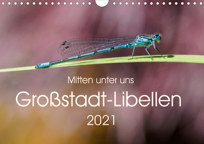 Mitten unter uns – Großstadt-Libellen (Wandkalender 2021 DIN A4 quer) von Wibke Hildebrandt,  Anne