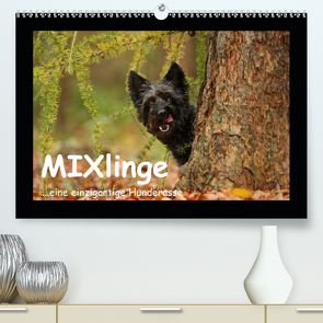 MIXlinge (Premium, hochwertiger DIN A2 Wandkalender 2020, Kunstdruck in Hochglanz) von Köntopp,  Kathrin