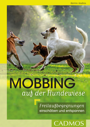 Mobbing auf der Hundwiese von Andres,  Katrin