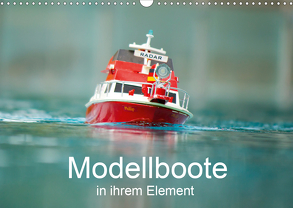 Modellboote in ihrem Element (Wandkalender 2020 DIN A3 quer) von Quentin,  Thomas