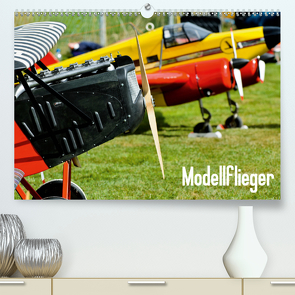 Modellflieger / CH-Version (Premium, hochwertiger DIN A2 Wandkalender 2021, Kunstdruck in Hochglanz) von Selig,  Bernd