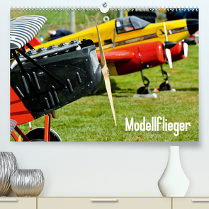 Modellflieger (Premium, hochwertiger DIN A2 Wandkalender 2021, Kunstdruck in Hochglanz) von Selig,  Bernd