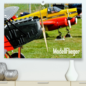 Modellflieger (Premium, hochwertiger DIN A2 Wandkalender 2022, Kunstdruck in Hochglanz) von Selig,  Bernd