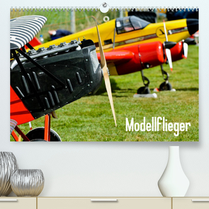 Modellflieger (Premium, hochwertiger DIN A2 Wandkalender 2023, Kunstdruck in Hochglanz) von Selig,  Bernd