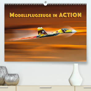 Modellflugzeuge in ACTION (Premium, hochwertiger DIN A2 Wandkalender 2020, Kunstdruck in Hochglanz) von Gödecke,  Dieter