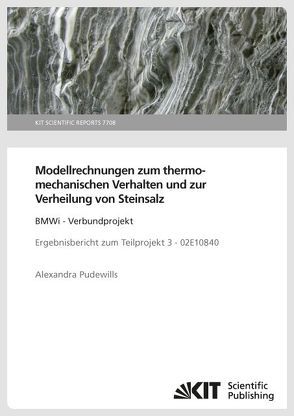 Modellrechnungen zum thermomechanischen Verhalten und zur Verheilung von Steinsalz: BMWi – Verbundprojekt Ergebnisbericht zum Teilprojekt 3 – 02E10840 von Pudewills,  Alexandra