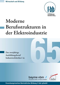 Moderne Berufsstrukturen in der Elektroindustrie von (f-bb),  Forschungsinstitut Betriebliche Bildung, Loebe,  Herbert, Severing,  Eckart