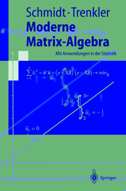 Moderne Matrix-Algebra von Schmidt,  Karsten, Trenkler,  Götz