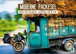 Moderne Packesel: kuriose Logistik (Wandkalender 2018 DIN A2 quer) von CALVENDO