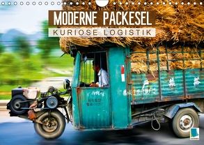 Moderne Packesel: kuriose Logistik (Wandkalender 2018 DIN A4 quer) von CALVENDO