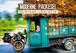 Moderne Packesel: kuriose Logistik (Wandkalender 2019 DIN A2 quer) von CALVENDO