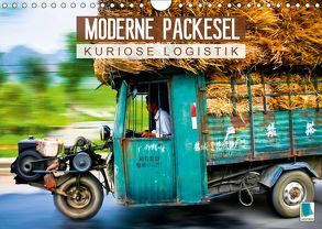 Moderne Packesel: kuriose Logistik (Wandkalender 2019 DIN A4 quer) von CALVENDO