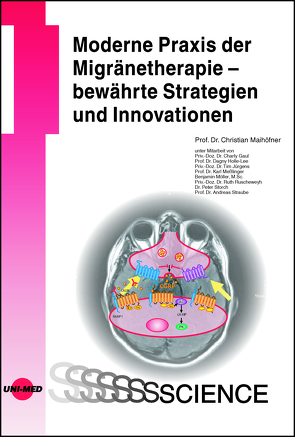 Moderne Praxis der Migränetherapie – bewährte Strategien und Innovationen von Maihöfner,  Christian