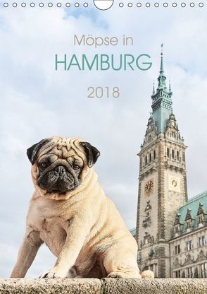 Möpse in Hamburg (Wandkalender 2018 DIN A4 hoch) von und Julia Dodeck,  Ole