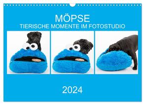 MÖPSE – tierische Momente im Fotostudio (Wandkalender 2024 DIN A3 quer), CALVENDO Monatskalender von Dodeck,  Ole