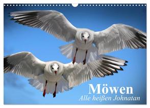 Möwen. Alle heißen Johnatan (Wandkalender 2024 DIN A3 quer), CALVENDO Monatskalender von Stanzer,  Elisabeth