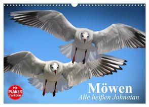 Möwen. Alle heißen Johnatan (Wandkalender 2024 DIN A3 quer), CALVENDO Monatskalender von Stanzer,  Elisabeth