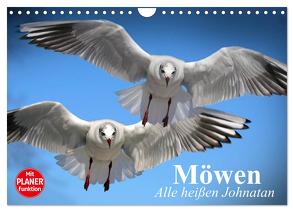 Möwen. Alle heißen Johnatan (Wandkalender 2024 DIN A4 quer), CALVENDO Monatskalender von Stanzer,  Elisabeth