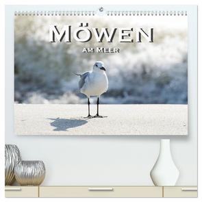 Möwen am Meer (hochwertiger Premium Wandkalender 2024 DIN A2 quer), Kunstdruck in Hochglanz von Styppa,  Robert