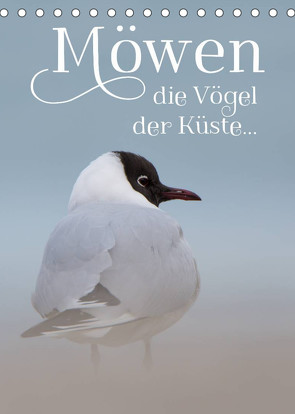 Möwen – die Vögel der Küste (Tischkalender 2023 DIN A5 hoch) von Spiegler (anneliese-photography),  Heidi