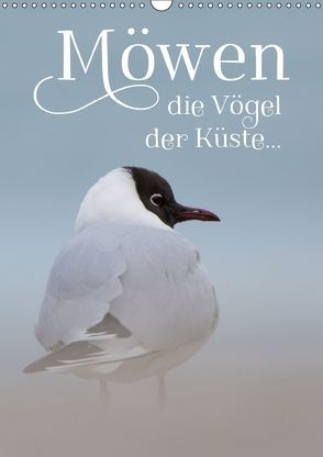 Möwen – die Vögel der Küste (Wandkalender 2018 DIN A3 hoch) von Spiegler (anneliese-photography),  Heidi