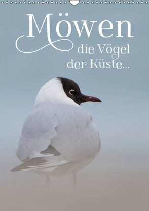 Möwen – die Vögel der Küste (Wandkalender 2019 DIN A3 hoch) von Spiegler (anneliese-photography),  Heidi