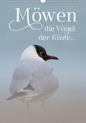 Möwen – die Vögel der Küste (Wandkalender 2020 DIN A3 hoch) von Spiegler (anneliese-photography),  Heidi