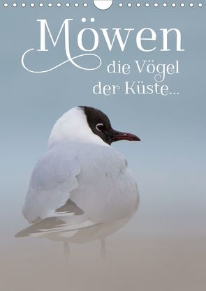 Möwen – die Vögel der Küste (Wandkalender 2020 DIN A4 hoch) von Spiegler (anneliese-photography),  Heidi
