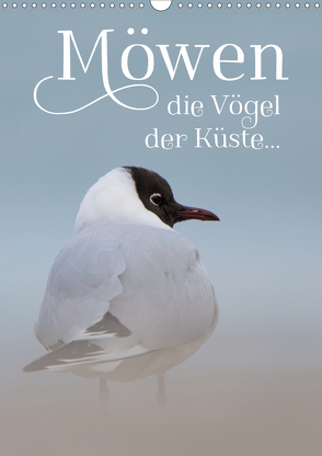 Möwen – die Vögel der Küste (Wandkalender 2021 DIN A3 hoch) von Spiegler (anneliese-photography),  Heidi