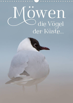 Möwen – die Vögel der Küste (Wandkalender 2022 DIN A3 hoch) von Spiegler (anneliese-photography),  Heidi