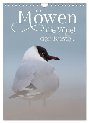 Möwen – die Vögel der Küste (Wandkalender 2024 DIN A4 hoch), CALVENDO Monatskalender von Spiegler (anneliese-photography),  Heidi