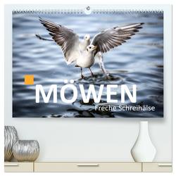 MÖWEN Freche Schreihälse (hochwertiger Premium Wandkalender 2024 DIN A2 quer), Kunstdruck in Hochglanz von Maertens,  Bernd