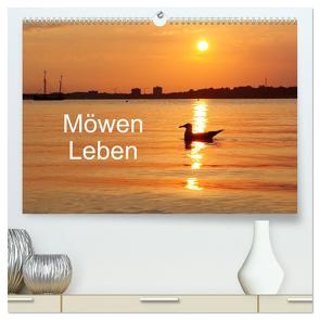 Möwen Leben (hochwertiger Premium Wandkalender 2024 DIN A2 quer), Kunstdruck in Hochglanz von Riedel,  Tanja