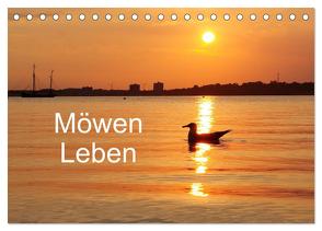 Möwen Leben (Tischkalender 2024 DIN A5 quer), CALVENDO Monatskalender von Riedel,  Tanja