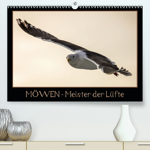 Möwen – Meister der Lüfte (Premium, hochwertiger DIN A2 Wandkalender 2020, Kunstdruck in Hochglanz) von Schwarz Fotografie,  Thomas