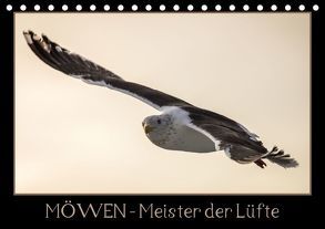 Möwen – Meister der Lüfte (Tischkalender 2018 DIN A5 quer) von Schwarz Fotografie,  Thomas