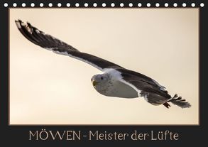 Möwen – Meister der Lüfte (Tischkalender 2019 DIN A5 quer) von Schwarz Fotografie,  Thomas