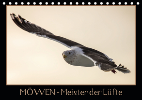 Möwen – Meister der Lüfte (Tischkalender 2020 DIN A5 quer) von Schwarz Fotografie,  Thomas