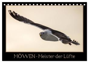 Möwen – Meister der Lüfte (Tischkalender 2024 DIN A5 quer), CALVENDO Monatskalender von Schwarz Fotografie,  Thomas