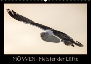 Möwen – Meister der Lüfte (Wandkalender 2018 DIN A2 quer) von Schwarz Fotografie,  Thomas