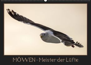 Möwen – Meister der Lüfte (Wandkalender 2019 DIN A2 quer) von Schwarz Fotografie,  Thomas