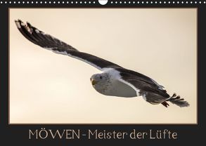 Möwen – Meister der Lüfte (Wandkalender 2019 DIN A3 quer) von Schwarz Fotografie,  Thomas