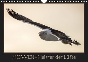 Möwen – Meister der Lüfte (Wandkalender 2019 DIN A4 quer) von Schwarz Fotografie,  Thomas