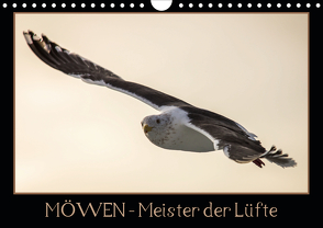 Möwen – Meister der Lüfte (Wandkalender 2020 DIN A4 quer) von Schwarz Fotografie,  Thomas