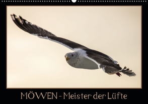 Möwen – Meister der Lüfte (Wandkalender 2021 DIN A2 quer) von Schwarz Fotografie,  Thomas